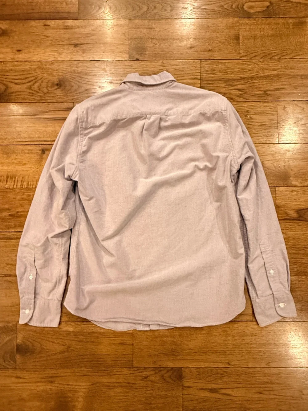 J Crew Button-Down Men's Shirt in Light Lavender